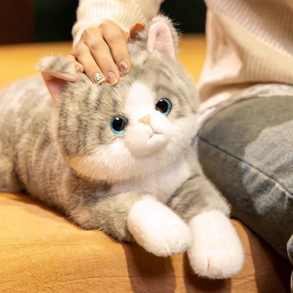 Set Dudu simulated cat doll doll pillow gray cat plush toy children's birthday gift Qixi girlfriend